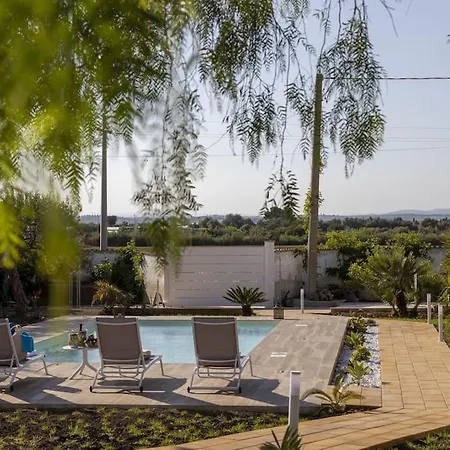 Le Perseidi Eco San Lorenzo فيلة ريتاني